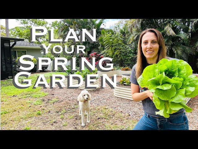The Ultimate Spring Garden Guide to Plan your Florida Garden
