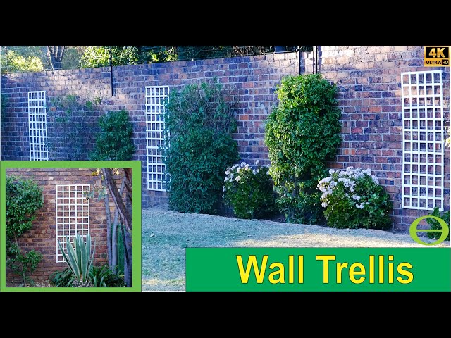 How to attach a wall trellis using a drill or hammer and nails onto a brick wall