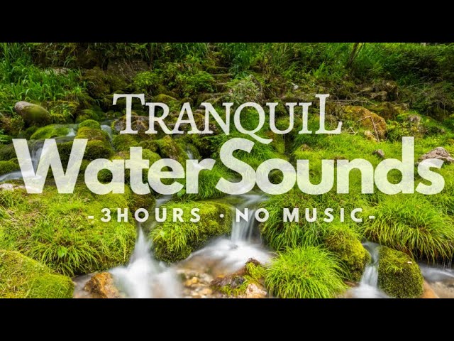 3 Hours - No Music  |  A Mossy Stream with Tranquil Flowing Water | Forest River | Water Sounds