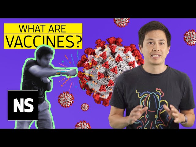 Coronavirus vaccines may end covid-19 pandemic. Here’s how vaccine immunity works | Science with Sam