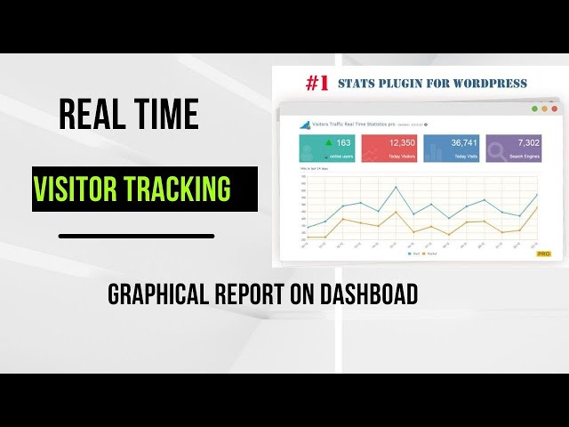 Track Website Visitors with Real-Time Graphical Report on WordPress Dashboard | Visitor Analysis