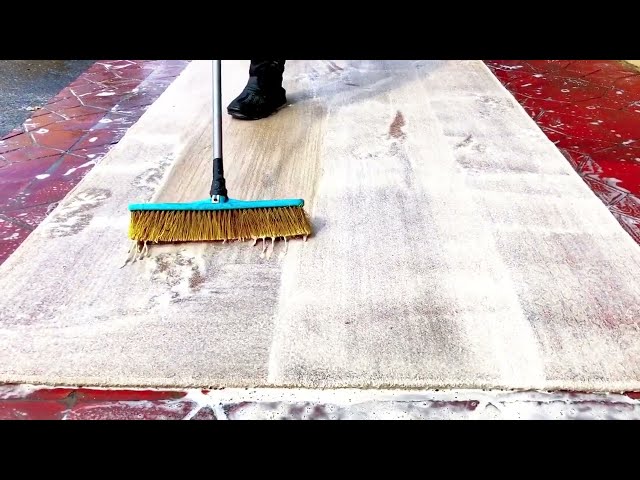 MUD MOULD covered rug ☹️! Satisfying Carpet Cleaning ASMR 🥰🥰