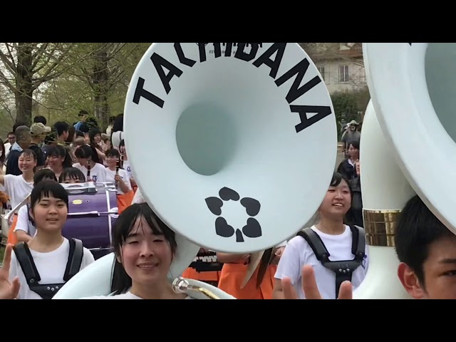 京都橘高等学校吹奏楽部 2019ブルーメの丘のパレード【午後】Kyoto  Tachibana SHS Band