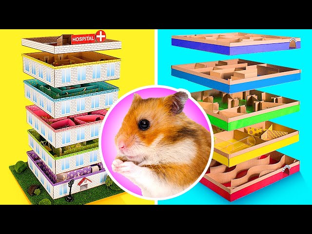 Coolest DIY Mazes For Your Hamster From Cardboard