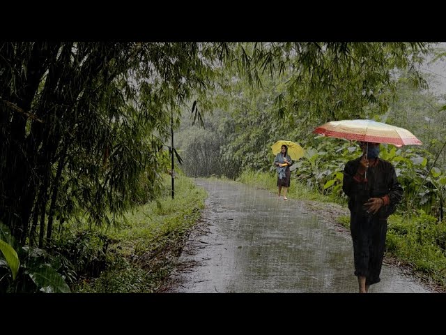 [4K] Rainy Season in Indonesian Villages | Walking in the rain and cold fog | Beautiful rainy day
