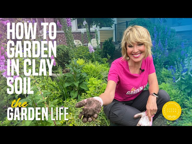 Hey Gardeners! We Need To Know This: How To Garden In Clay Soil
