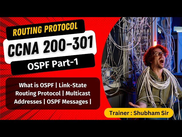 11. How OSPF Works: The Ultimate Guide to Open Shortest Path First (OSPF) Protocol | #ospf #routing