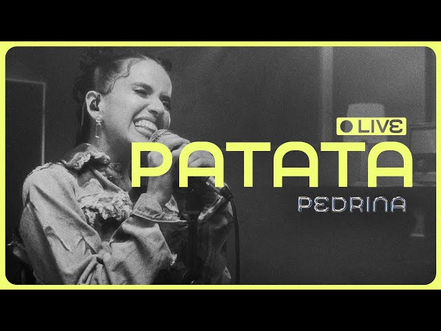 Pedrina - Patata (EN VIVO)