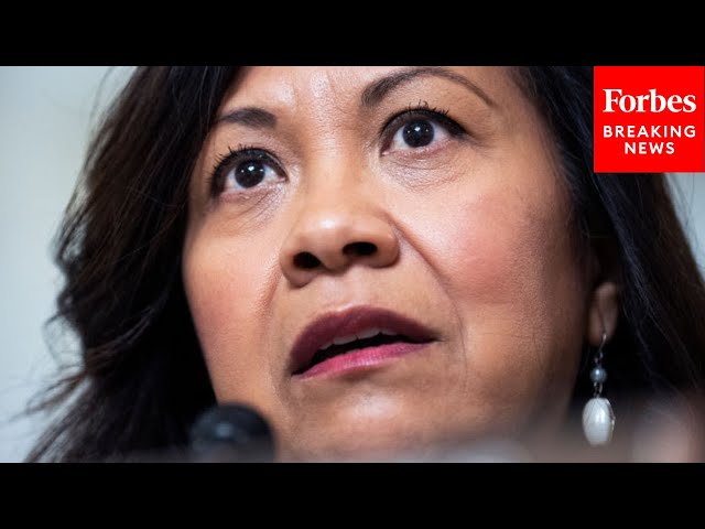 'A History Of Making Unfounded Allegations': Norma Torres Drops The Hammer On GOP Witness