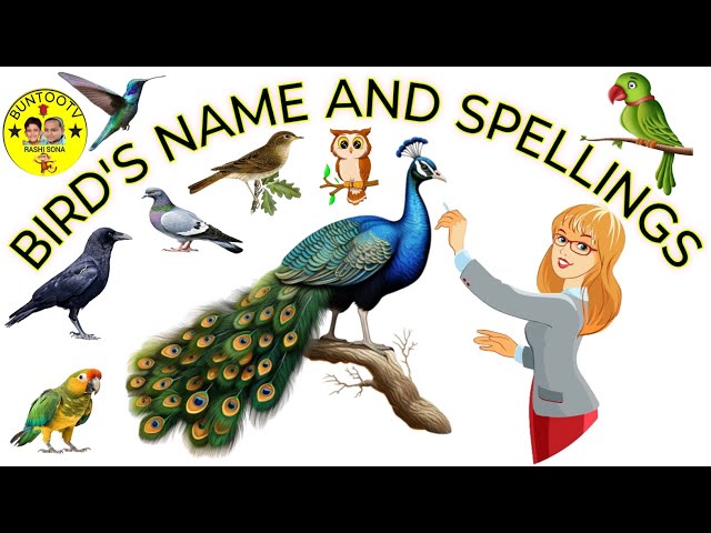 BIRDS Names and Sounds - Learn Bird Species in English #BUNTOOTV#Kids#Nurseryrhymes#preschool