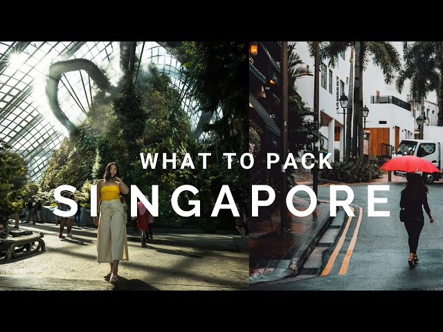 NOT TO Bring And TO BRING To Singapore (Watch This Before You Travel To Singapore ) 🇸🇬
