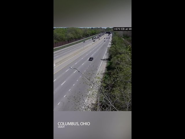Traffic cameras capture dog on the loose on Ohio interstate