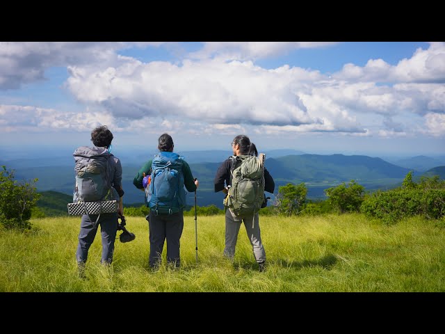 The Best Mountaintop Meadow You've Never Heard of at the Great Smoky Mountains | 4K