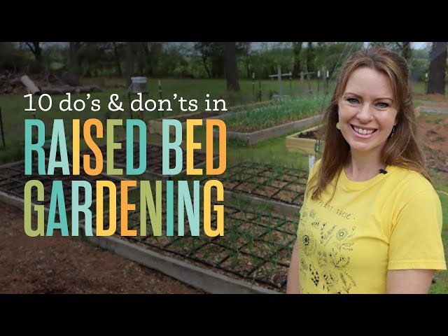 Beginner Gardening Raised Bed Do's & Don'ts