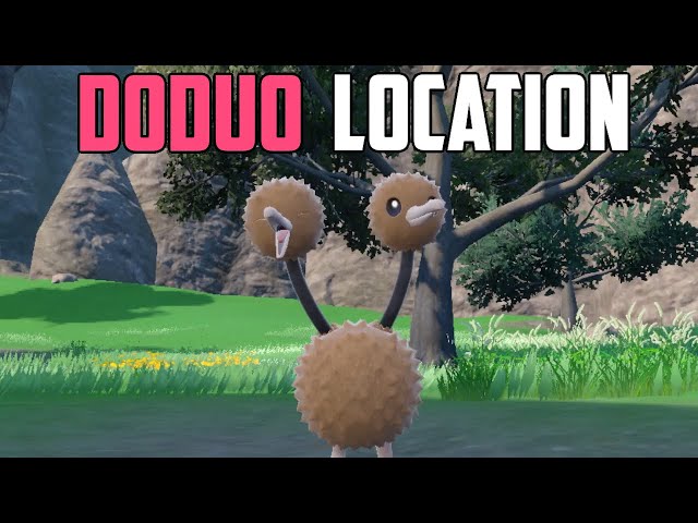 How to Catch Doduo - Pokémon Scarlet & Violet (DLC)
