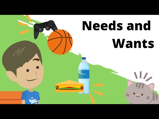 Needs and Wants Explained for Kids