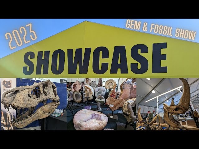 Tucson 22nd St Gem and Fossil Show | 2023 Things in Tucson!