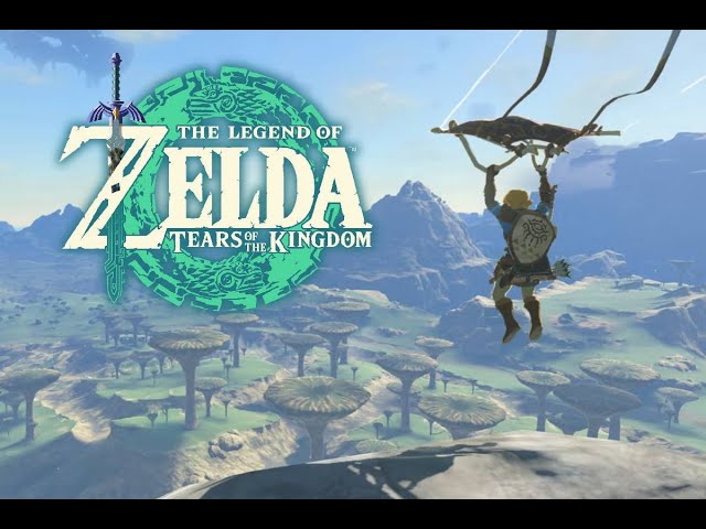 Gliding Into Zelda Tears Of The Kingdom!