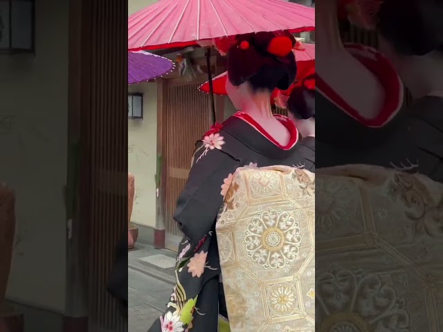和傘の似合う可愛い舞妓さん #京都 #舞妓