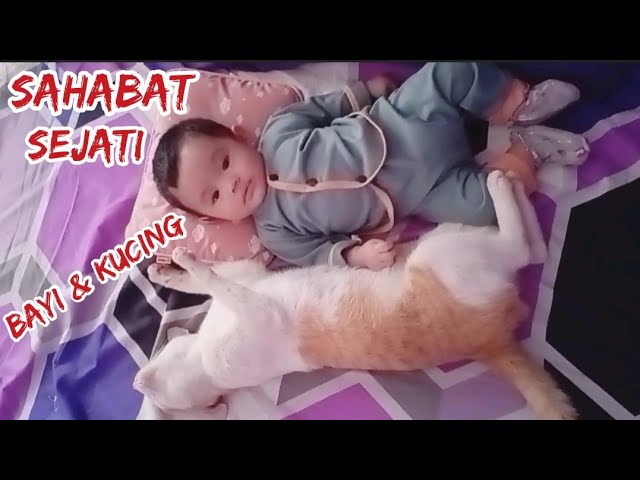 Persahabatan Bayi dan kucing - Anak kecil lucu imut #YouTube #Trend YouTube