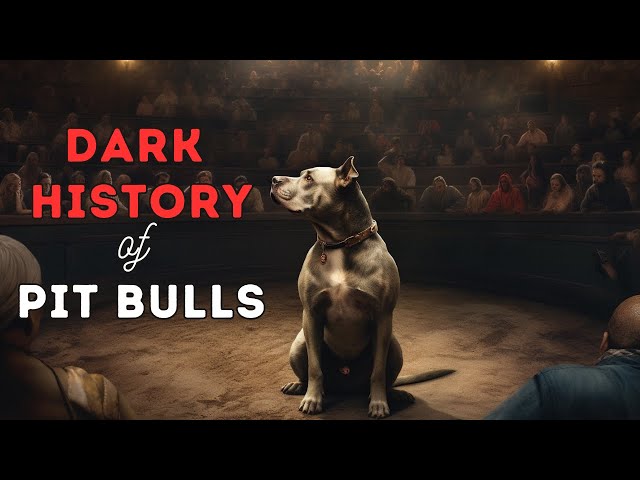 The Dark History of Pitbulls