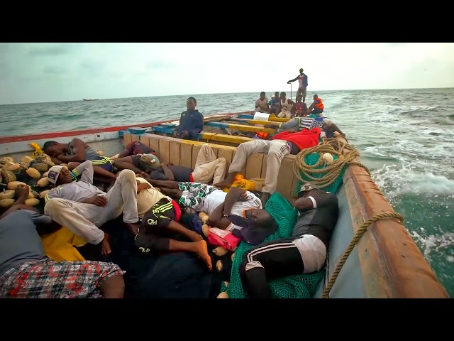 Sardine fishing in Senegal: a perilous enterprise