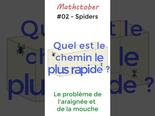 02 - Spiders - #mathctober