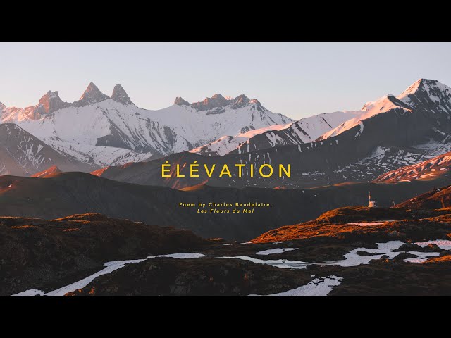 Elevation | Shot on the BMPCC 6K Pro and Mavic 2 Pro