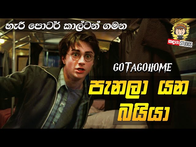 හැරී පොටර් ලංකාවේ හැදුවනම් | පැනලා යන බයියා | Harry Potter Sinhala Dubbed