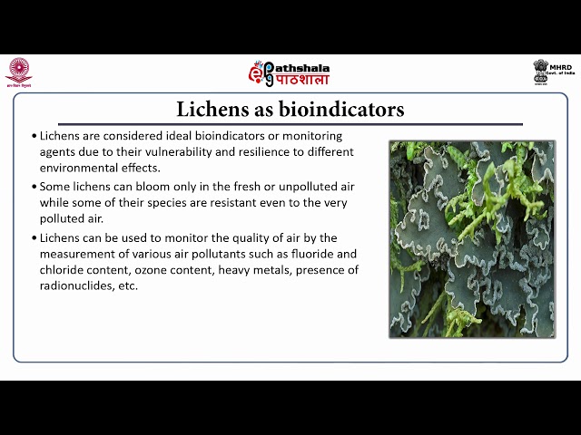 Bioindicators