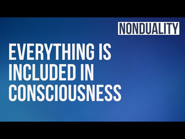 Dr Daniel H Shapiro - Everything is Included in Consciousness