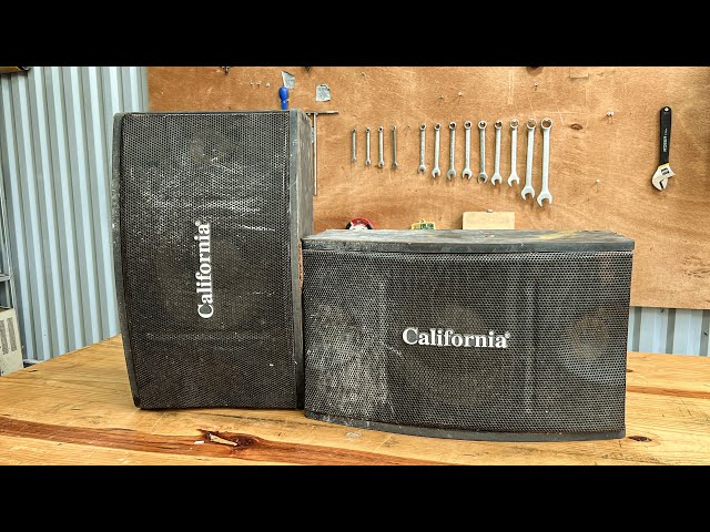 Restoration Severely Damaged 2-Way California Speakers // Restoration Speakers Damaged Over Time