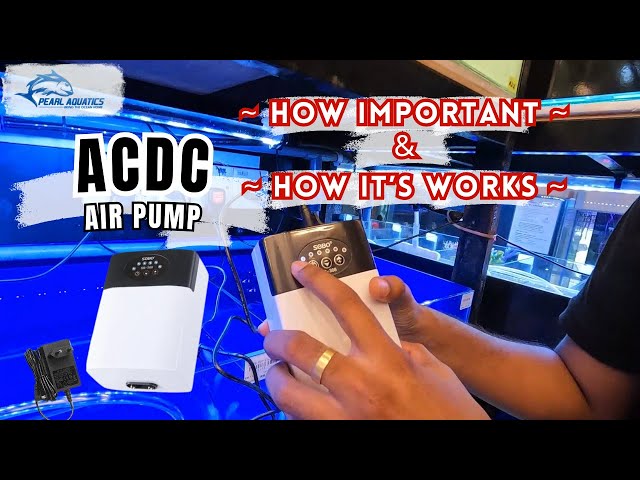Exploring 5 Types of Aquarium Air Pumps and How AC/DC Pump Works