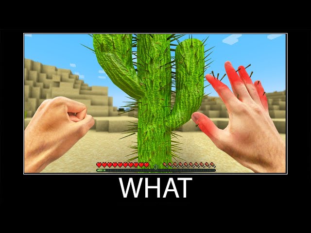 Minecraft wait what meme part 298 realistic minecraft Cactus and Steve