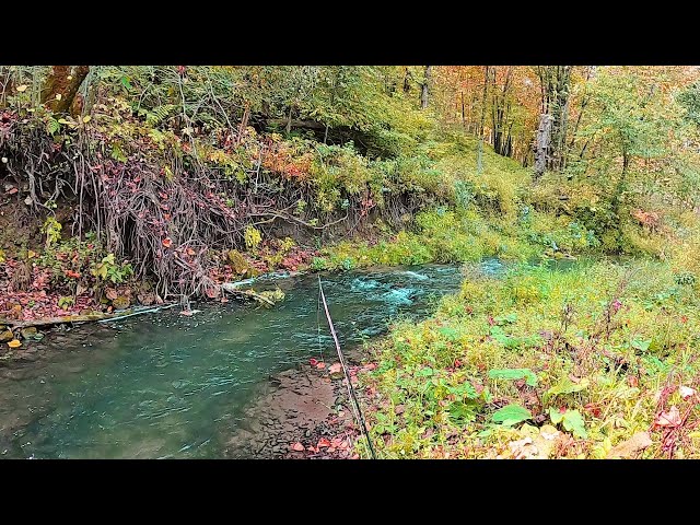 Fly Fishing the Driftless - Exploring a NEW STREAM and a FAIL (Day 3)