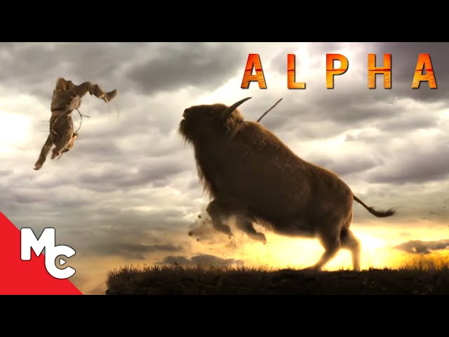 Alpha | Hunting For Bison | Full Movie Scene