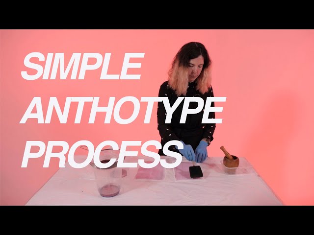 Simple Anthotype Video For Schools // Engineering Sustainable Photographic Processes