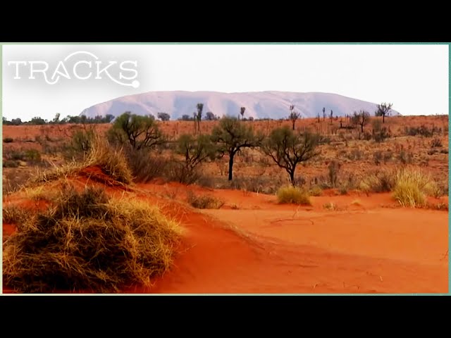 Traveling To The Driest Region In Australia | Ray Mears Wild Australia