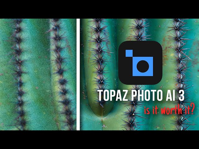 Topaz Photo AI 3 Review - Is it Worth it?