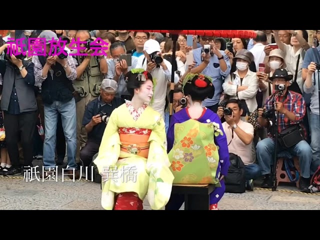 子供に手を振る祇園甲部の舞妓さん 祇園放生会2019 Gion