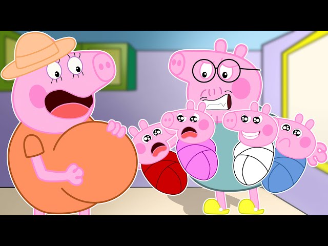 Daddy Pig Had Babies! Peppa Pig Baby and Suzy Sheep Baby Stories? Peppa Pig Funny Animation