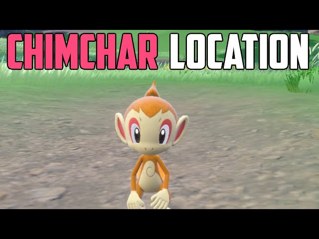 How to Catch Chimchar - Pokémon Scarlet & Violet (DLC)