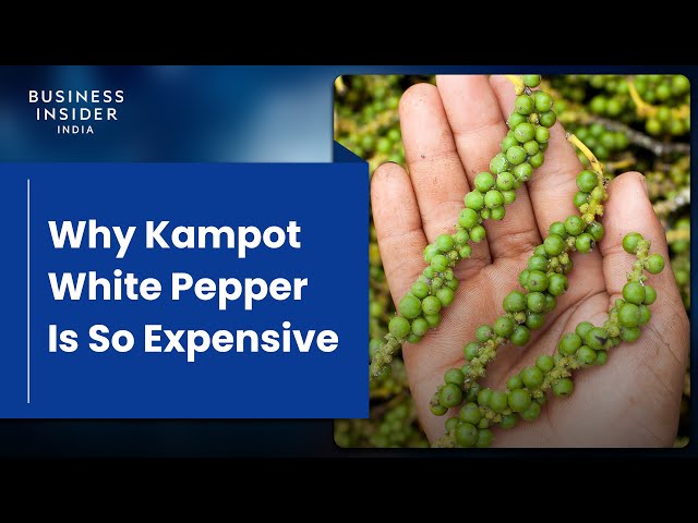 Why Kampot White Pepper Is So Expensive