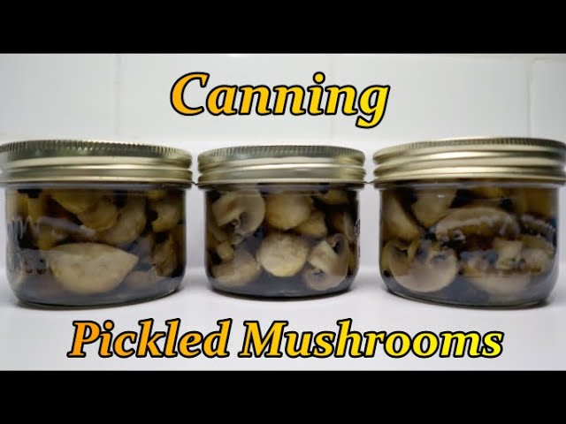 Canning Pickled Mushrooms