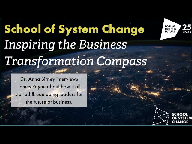 Inspiring the Business Transformation Compass: the School of System Change