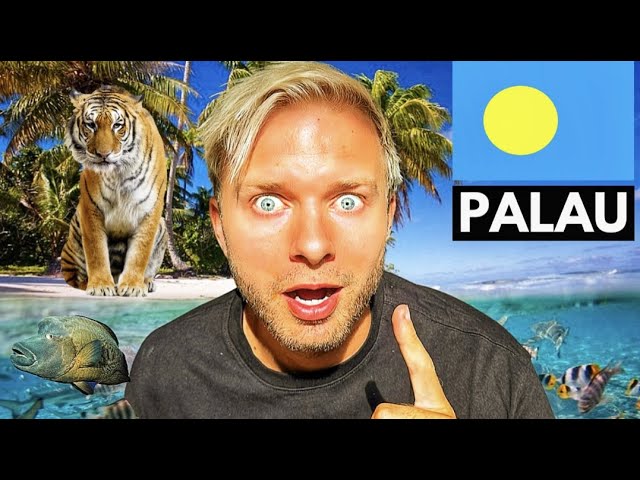 What Can You Get For $30 in PALAU? (very expensive!)
