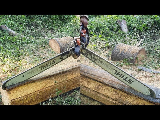 Sawing A Palm Tree With Chainsaw STIHL MS070 Wood Cutting Machine