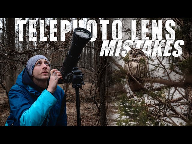 4 TELEPHOTO LENS Wildlife Photography MISTAKES