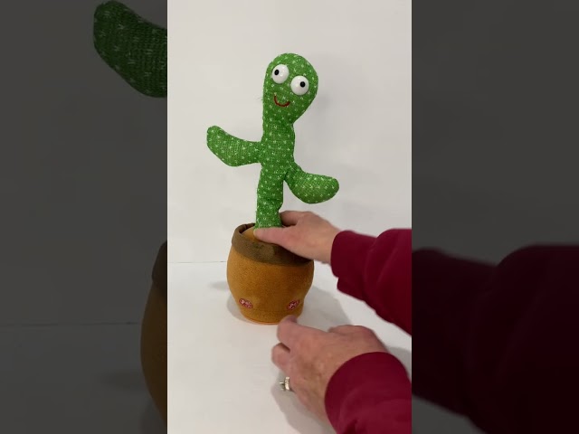 Honest Review of Keculf Dancing Talking Cactus Mimicking Toy
