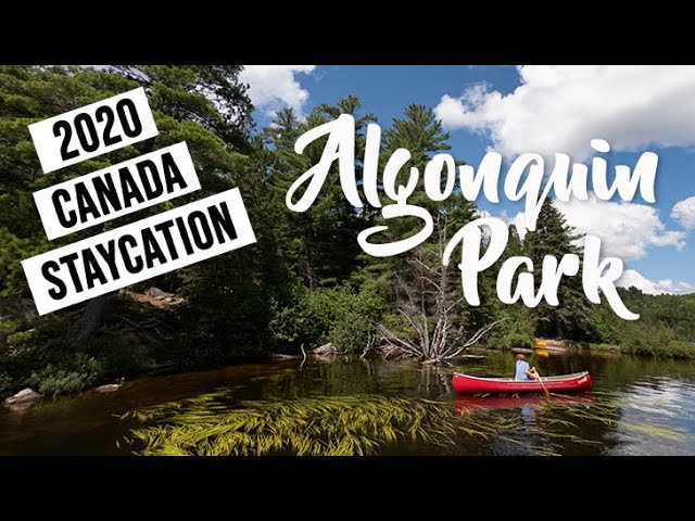 2020 Canada Staycation - Algonquin Provincial Park Family Trip